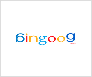 logo bingoog